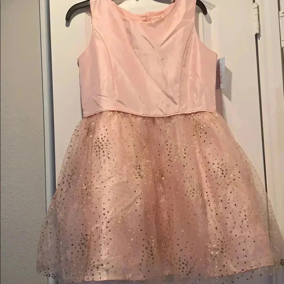 Cat & Jack Other - Cat & Jack Rose Gold Dress